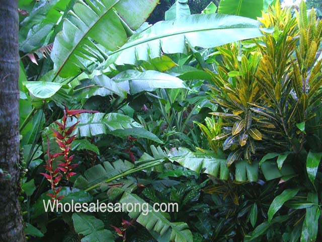 ubud-indonesia-17
