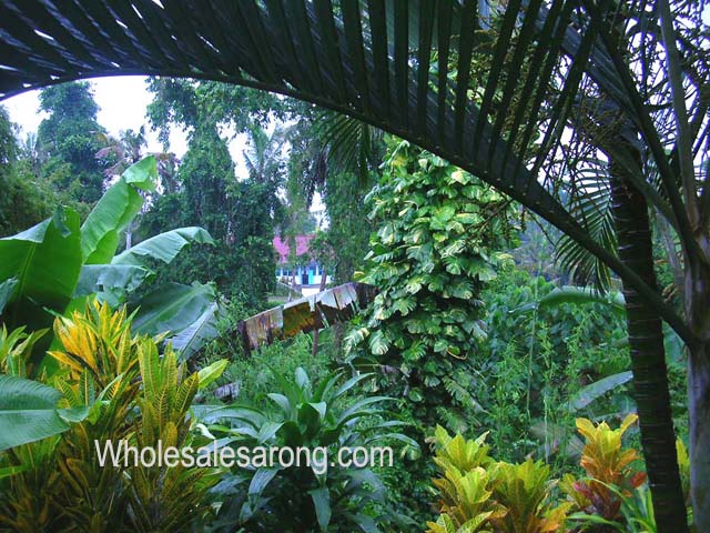 ubud-indonesia-18
