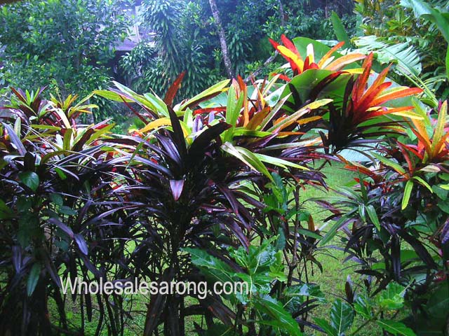 ubud-indonesia-19