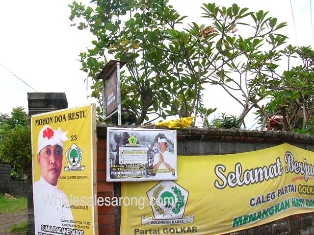 visting-bali-pictures03