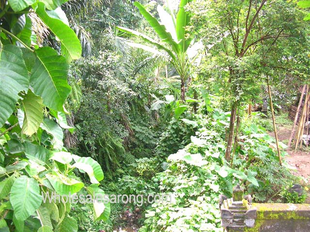 visting-bali-pictures21