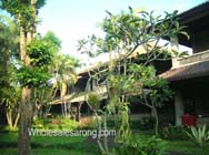 bali-pictures-02