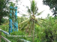 tour-bali-java07
