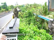 tour-bali-java10