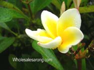 ubud-indonesia-14