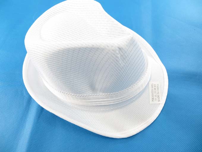 fedora-hat-3a