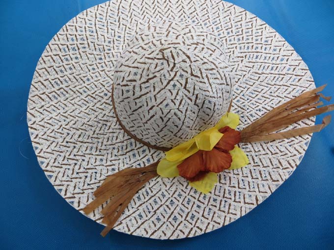 straw-hat-2d