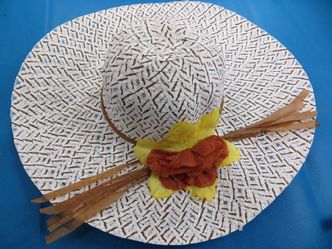 straw-hat-2e