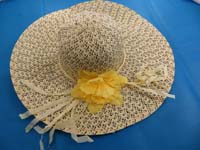 straw-hat-2c