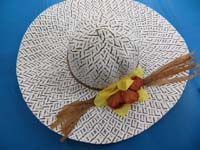 straw-hat-2d