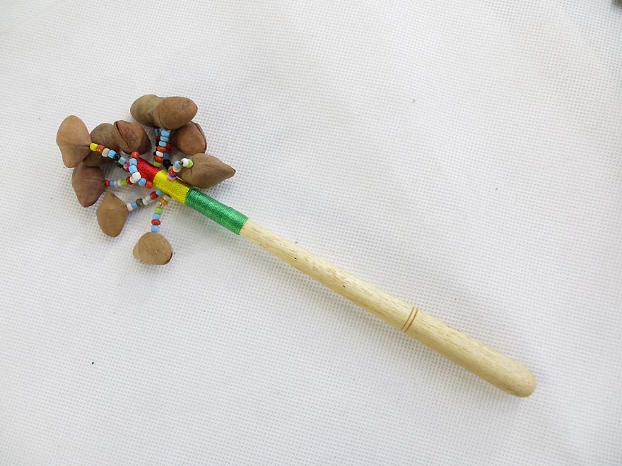 rasta-nutshell-shaker2