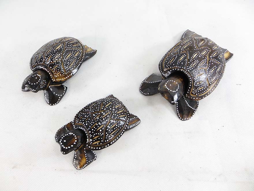 turtle-set-6a