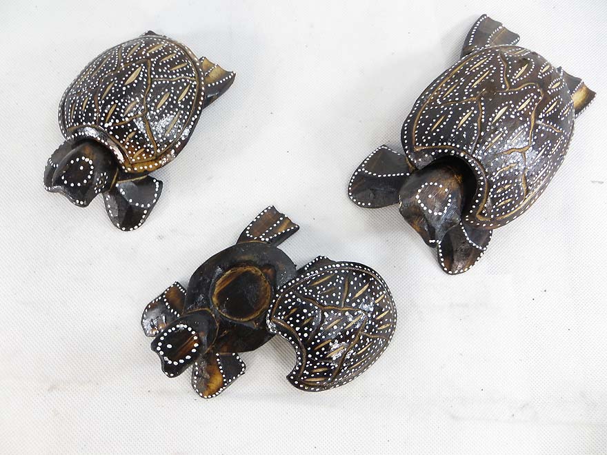 turtle-set-6b