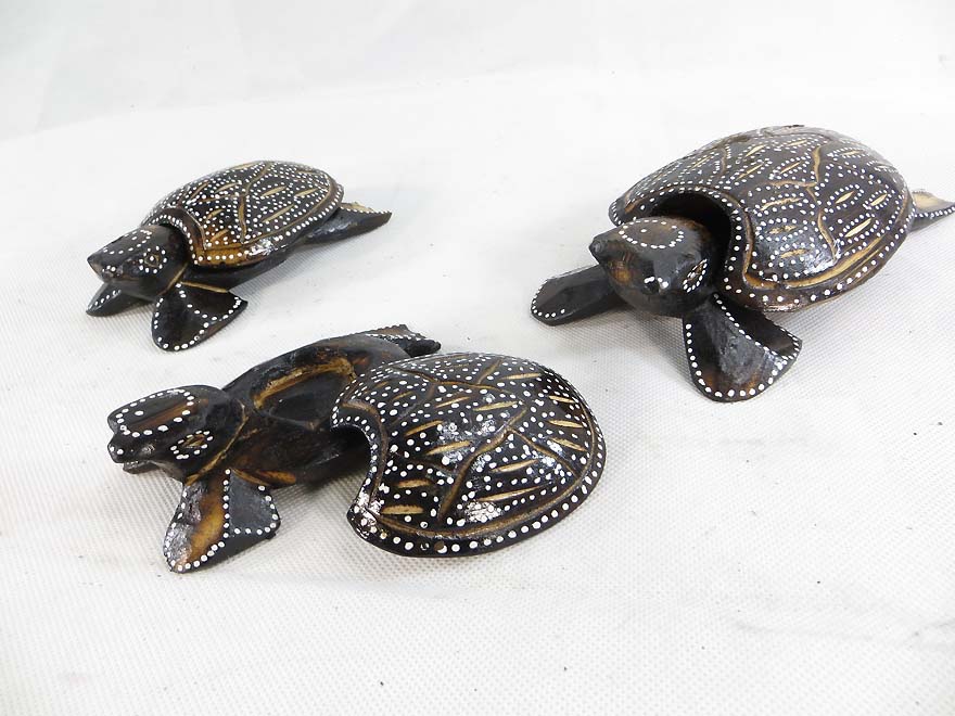 turtle-set-6c