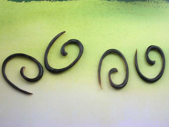 horn-earring-51