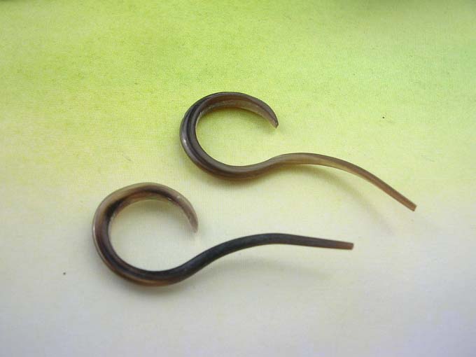 horn-earring-55