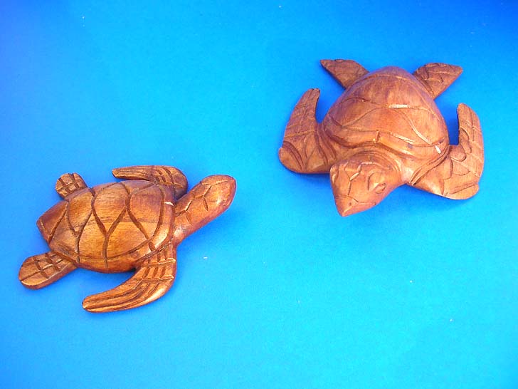 turtle-set-01