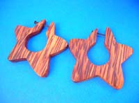 Star peg earring