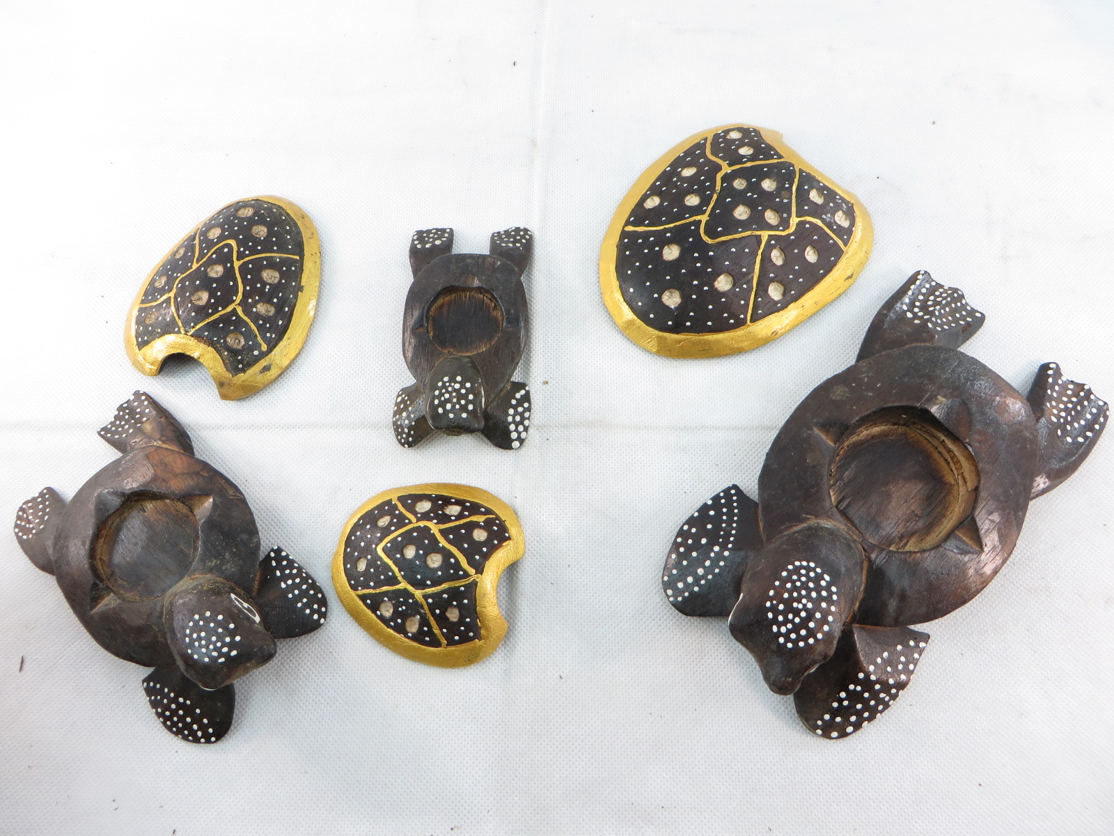 turtleset11a