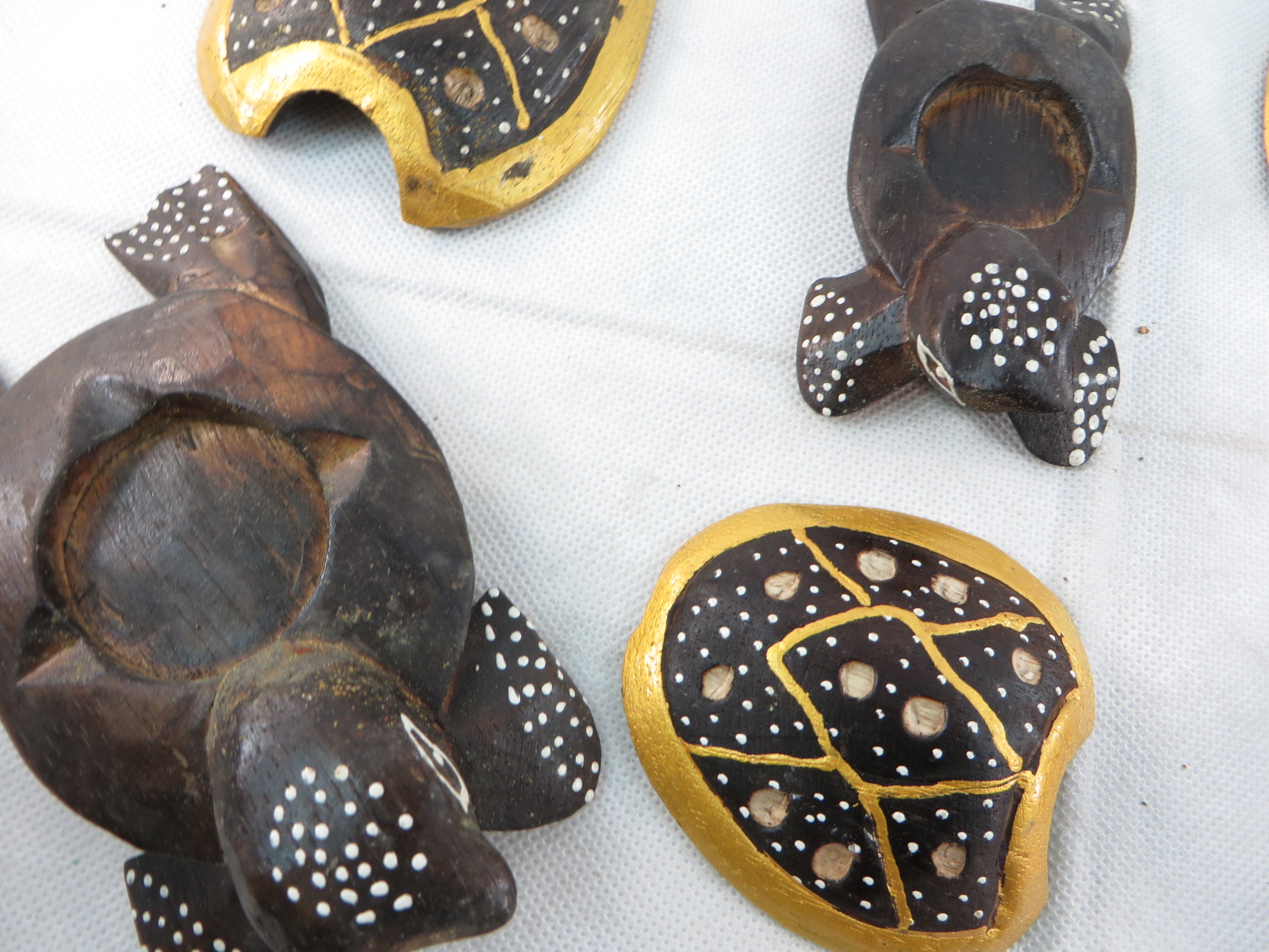 turtleset11b