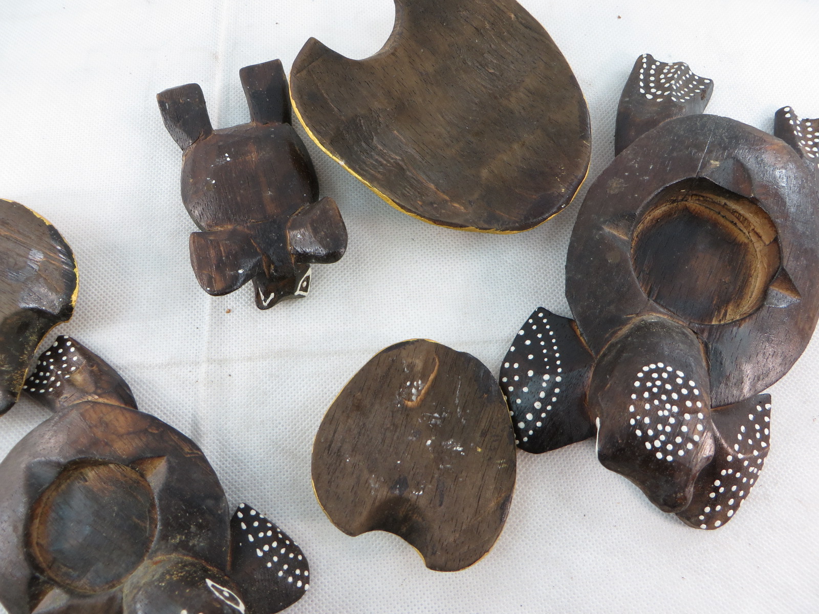 turtleset11d