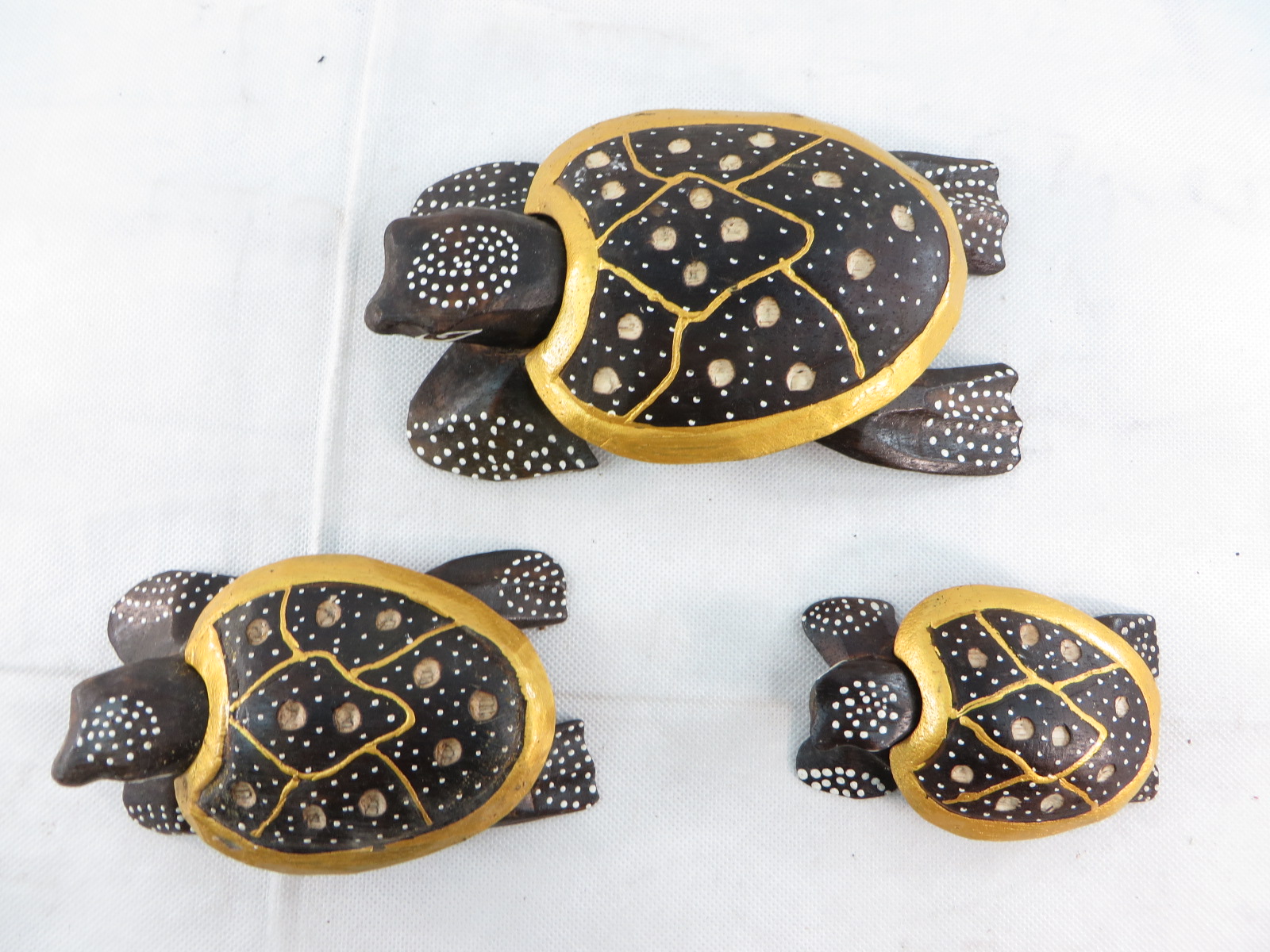 turtleset11e