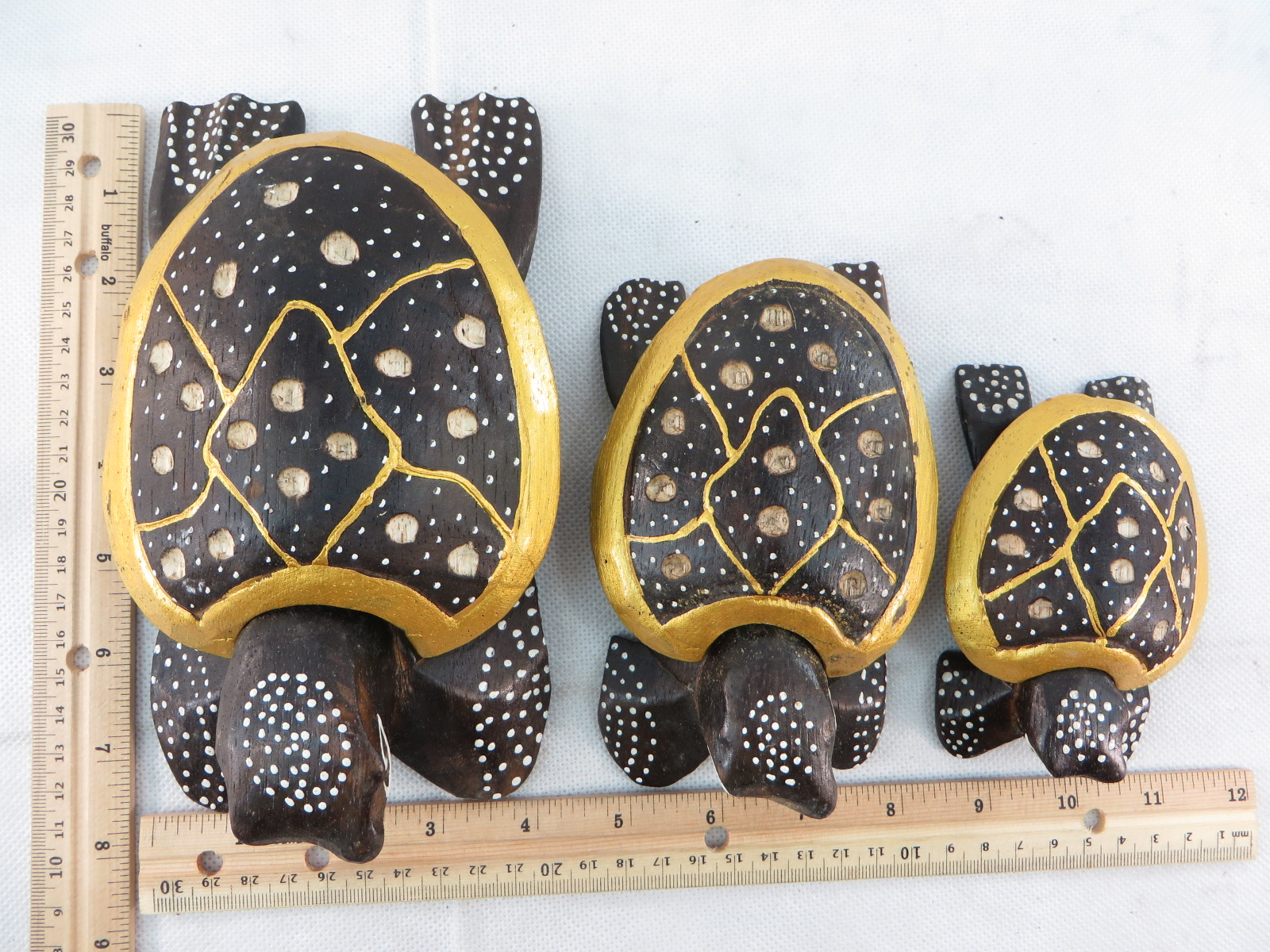 turtleset11h