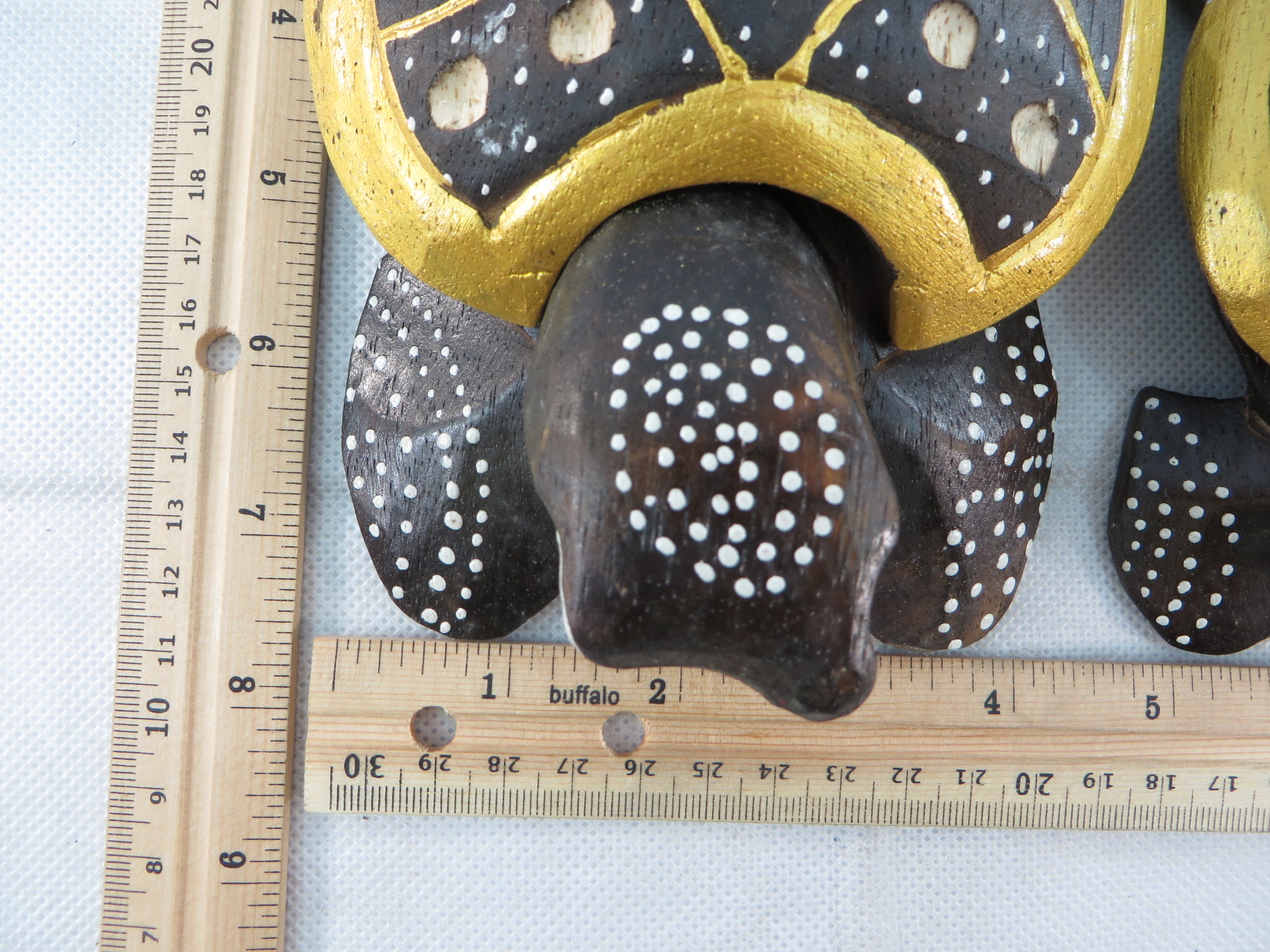 turtleset11i