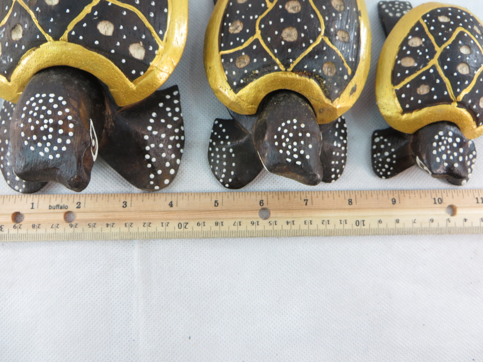 turtleset11j