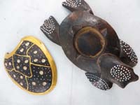 turtleset11c