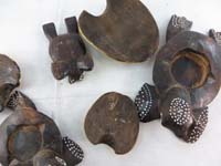turtleset11d