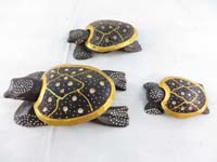 turtleset11f