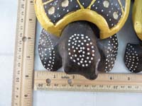 turtleset11i