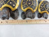 turtleset11j