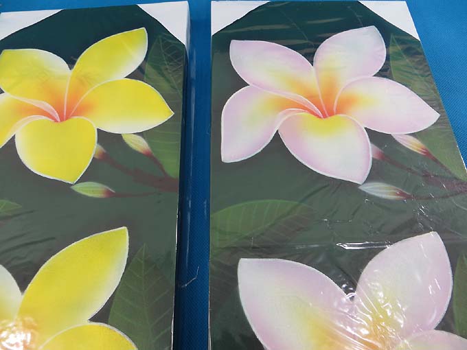 plumeria-flower-kamboja-oil-painting-canvas-1g