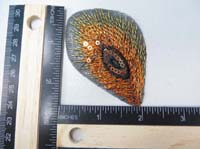 patch34c