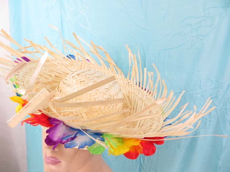 mexican-sombrero-hats-10-party-cap-aloha-hawaiian-flower-lei-f