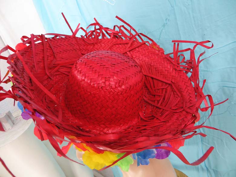 mexican-sombrero-hats-10-party-cap-aloha-hawaiian-flower-lei-h