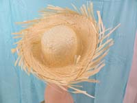 mexican-sombrero-hats-10-party-cap-aloha-hawaiian-flower-lei-a