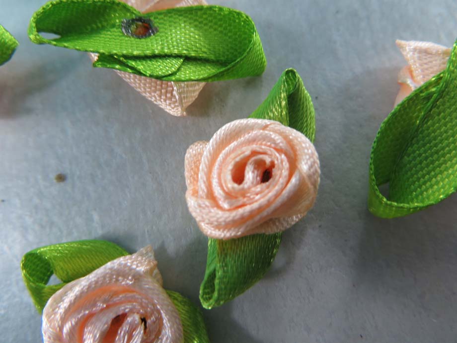 appliquerose05b