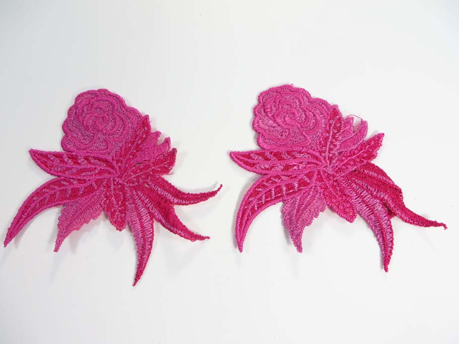 applique5-14a