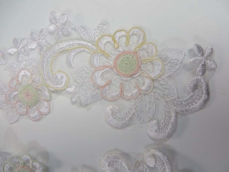 applique5-18b