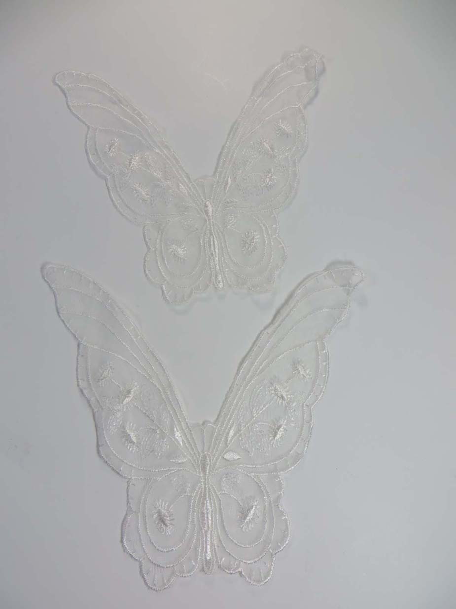 applique5-20a