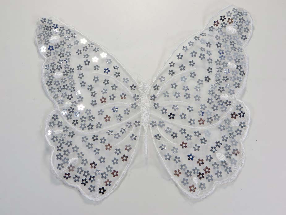 applique6-11a
