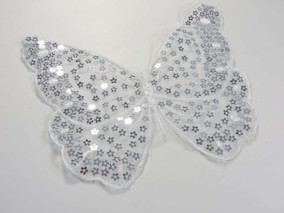 applique6-11c