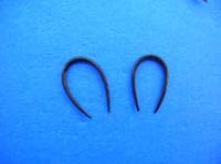 Thin horn U shaped earrings