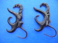 Creative artwork tribal designed horn earrings 