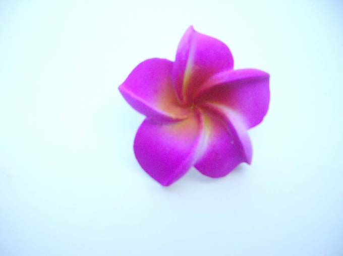 foam-plumeria-flowers-02b