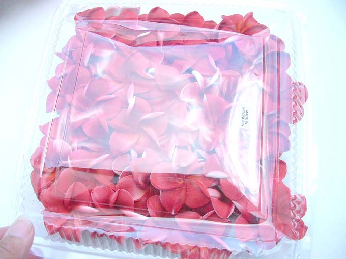 foam-plumeria-flowers-02h
