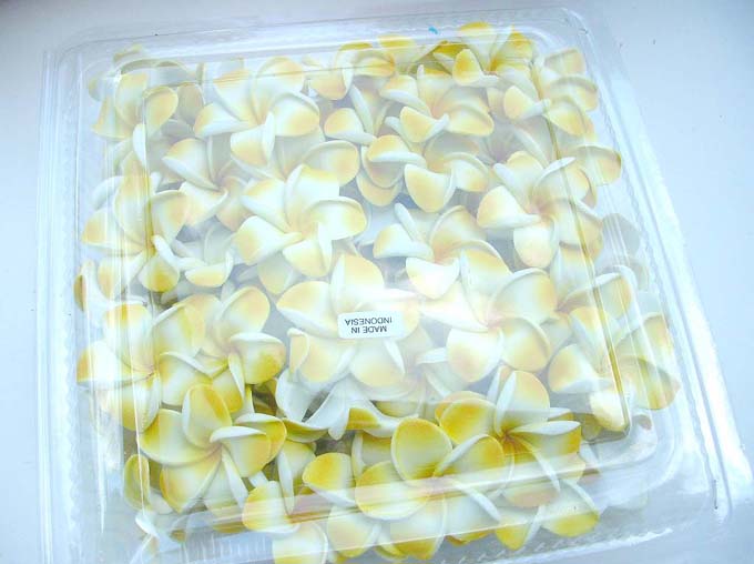 foam-plumeria-flowers-02j